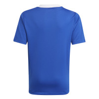 adidas Tiro 21 Voetbalshirt Kids Blauw Wit