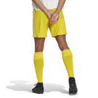 adidas Squadra 21 Trainingsbroekje Geel Wit