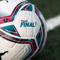 PUMA teamFINAL 21.1 FIFA Quality Pro Voetbal
