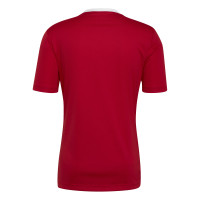 adidas Entrada 22 Voetbalshirt Rood Wit
