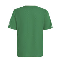 adidas Tiro 23 League Voetbalshirt Kids Groen Wit