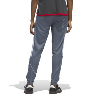 adidas Tiro 23 League Trainingsbroek Dames Grijs