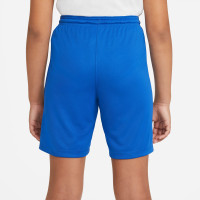 Nike Dri-FIT Park III Kids Blue Football Shorts