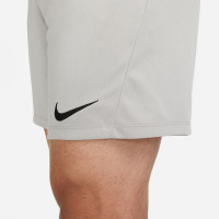 Nike Dri-FIT Park III Voetbalbroekje Grijs