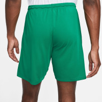Nike Dri-FIT Park III Football Shorts Green