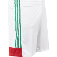 adidas Voetbalbroekje Kids Wit Rood Groen