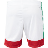 adidas Voetbalbroekje Kids Wit Rood Groen