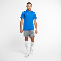 Nike Dri-FIT Park 20 Polo Blue
