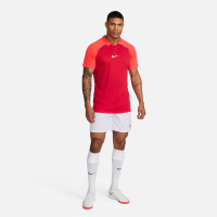 Nike Academy Pro Polo Rood Felrood