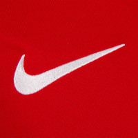 Nike Dri-Fit Park Derby III Voetbalshirt Kids Rood