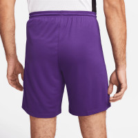Nike Dri-FIT Park III Football Shorts Purple