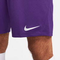 Nike Dri-FIT Park III Football Shorts Purple
