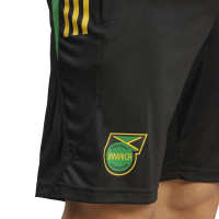 adidas Jamaica Trainingsbroekje 2023-2024 Zwart Groen Geel