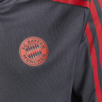 adidas Bayern Munchen Trainingstrui 2021-2022 Kids Grijs
