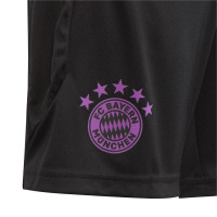 adidas Bayern München Trainingsbroekje 2023-2024 Kids Zwart Groen Paars