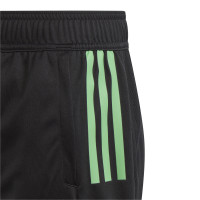 adidas Bayern München Trainingsbroekje 2023-2024 Zwart Groen Paars