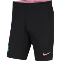 Nike FC Barcelona Zomer-/ Trainingsset Zwart Roze Groen