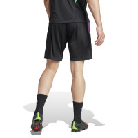 adidas Bayern München Trainingsbroekje 2023-2024 Zwart Groen Paars