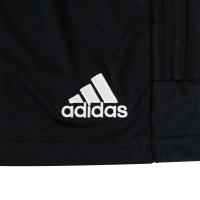 adidas SC Cambuur Uitbroekje 2023-2024