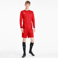 PUMA TeamGOAL 23 Trainingsshirt Lange Mouwen Rood