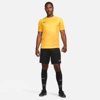 Nike Gardien IV Keepersshirt Korte Mouwen Geel Goud