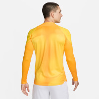 Nike Gardien IV Keepersshirt Lange Mouwen Geel Goud