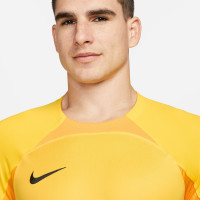Nike Gardien IV Keepersshirt Lange Mouwen Geel Goud