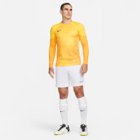 Nike Gardien IV Keepersshirt Lange Mouwen Geel Goud