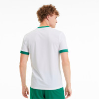 PUMA TeamGoal 23 Training Shirt White Green