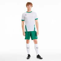 PUMA TeamGoal 23 Training Shirt White Green