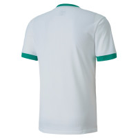 PUMA TeamGoal 23 Training Shirt White Green