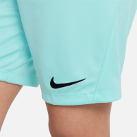 Nike Park III Trainingsbroekje Dri-Fit Kids Turquoise