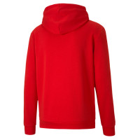 PUMA TeamGOAL 23 Casuals Hoodie Rood
