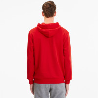 PUMA TeamGOAL 23 Casuals Hoodie Rood