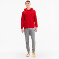 PUMA TeamGOAL 23 Casuals Hoodie Rood