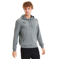 PUMA TeamGOAL 23 Casuals Hoodie Grijs