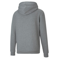 PUMA TeamGOAL 23 Casuals Hoodie Grijs
