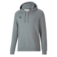 PUMA TeamGOAL 23 Casuals Hoodie Grijs