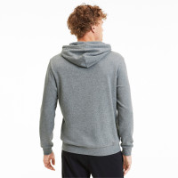 PUMA TeamGOAL 23 Casuals Hoodie Grijs