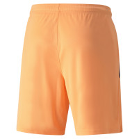 PUMA TeamLIGA Voetbalbroekje Oranje Zwart