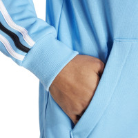 adidas Argentinië DNA Hooded Vest 2024-2026 Lichtblauw Wit Zwart