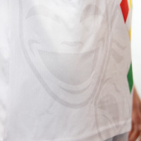 Nike MVV Carnavalsshirt 2023-2024