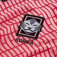 Nike Zuid Korea Thuisshirt 2020-2021