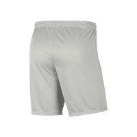 HVV Football Factory Goalkeeper Shorts Grey