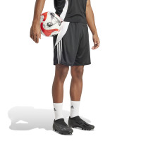 adidas Tiro 24 Trainingsbroekje Zwart Wit