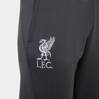 Nike Liverpool Strike Trainingsbroek 2023-2024 Kids Donkergrijs Grijs