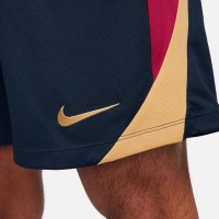 Nike FC Barcelona Strike Trainingsbroekje 2023-2024 Donkerblauw Bordeauxrood Goud