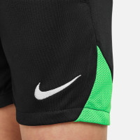 Nike Academy Pro Tenue Kleuters Groen