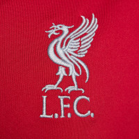 Nike Liverpool Strike Trainingstrui 1/4-Zip 2023-2024 Dames Rood Donkergrijs Grijs