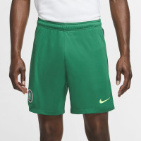 Nike Nigeria Thuisbroekje 2020-2021
